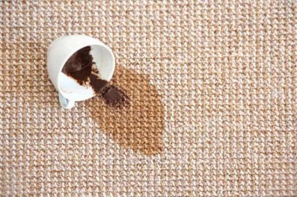 Best Ways to Remove a Carpet Stain