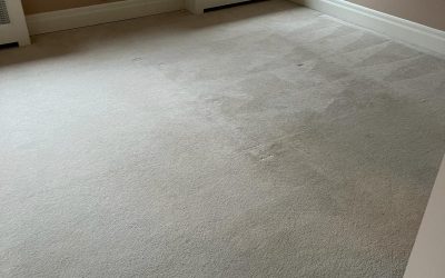 DIY Carpet Cleaning Solutions That Actually Work